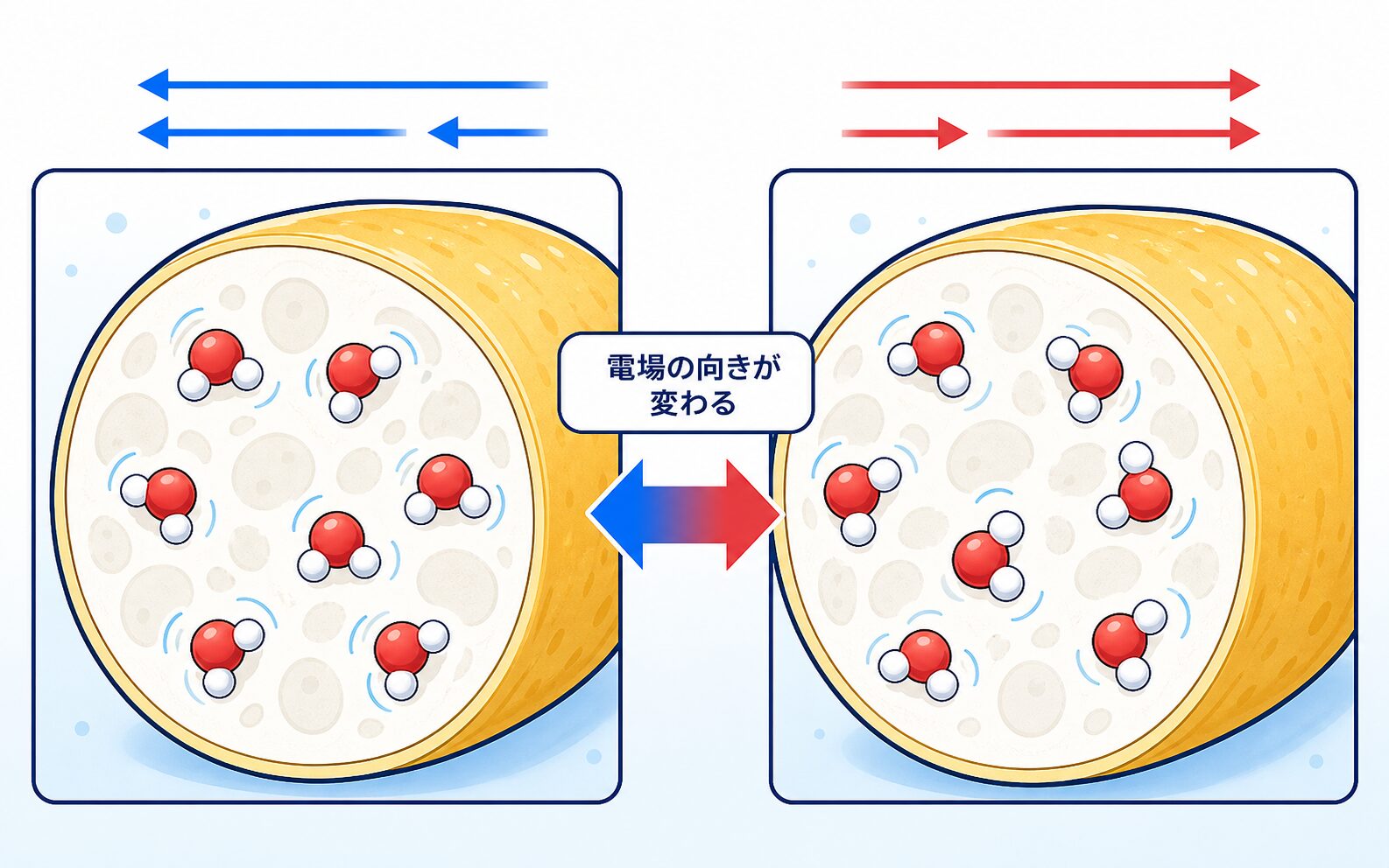 マイクロ波の電場の変化に合わせて食品中の水分子が向きを変える様子