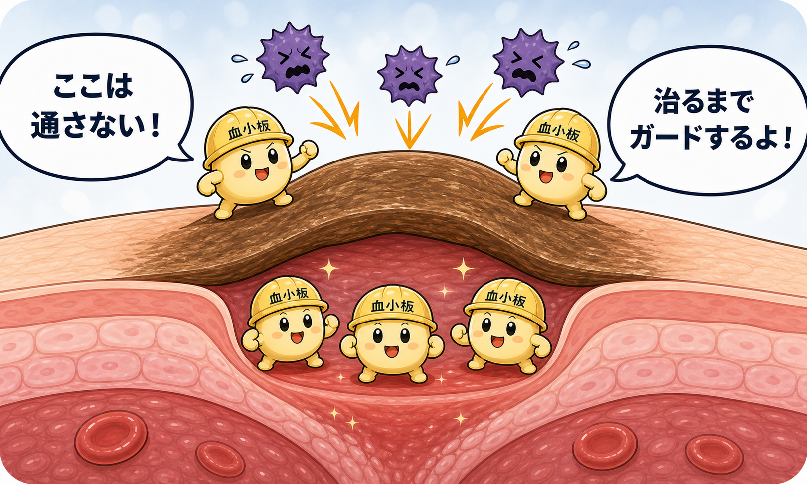 かさぶたが傷口を覆い、外から来る異物を防いでいる様子